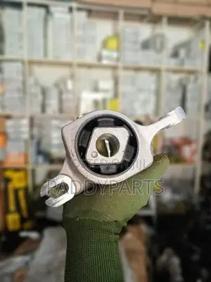 Mercedes Gl450 Lower Arm Bushing