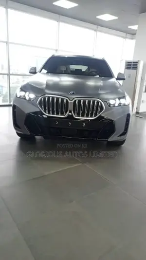 New BMW X6 xDrive40i 2024 Gray