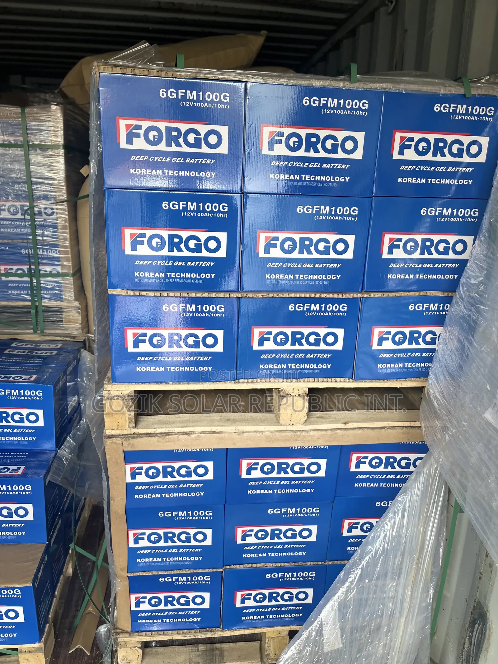 100A 12v Forgo Batteries