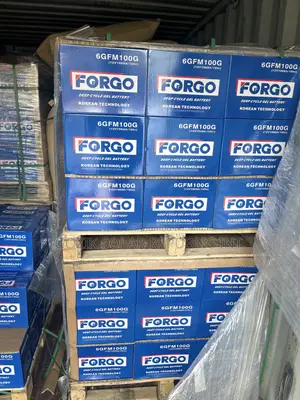 100A 12v Forgo Batteries