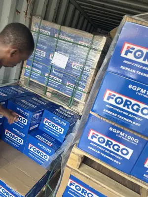 100A 12v Forgo Batteries
