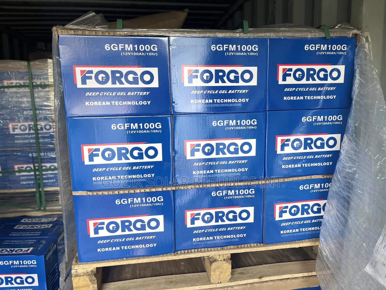100A 12v Forgo Batteries