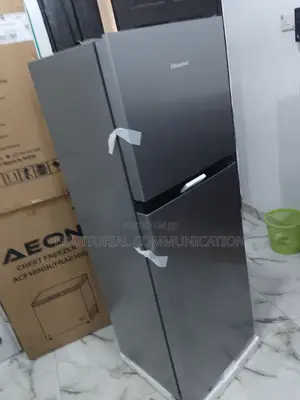 Well Know Hisense Double Door Refrigerator