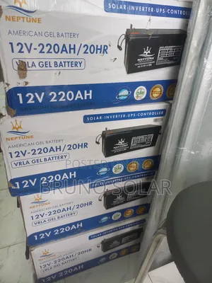 Neptune 220AH 12V American Gel Battery