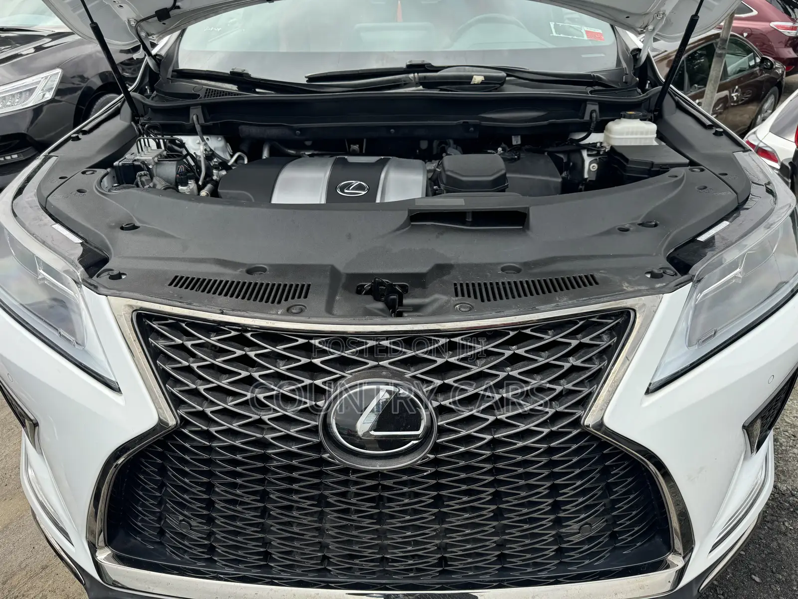 Lexus RX 2022 White