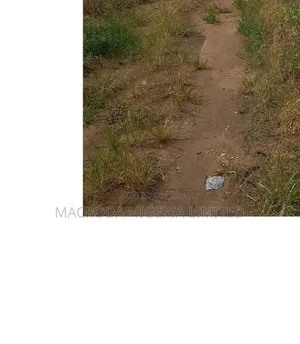 1100sqm Conerpiece Land Directly on Ijaye Rd Ogba Ikeja