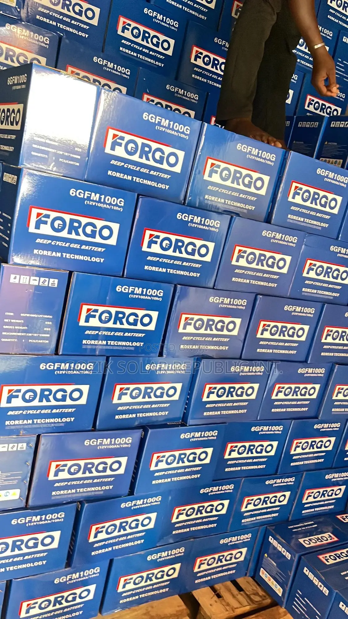 100A 12v Forgo Batteries