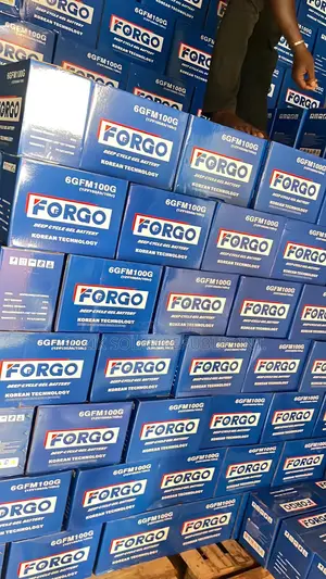 100A 12v Forgo Batteries