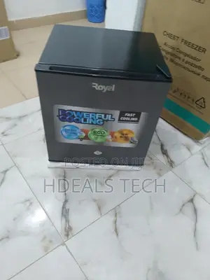 Environment Friendly Royal Bedside Refrigerator 55l
