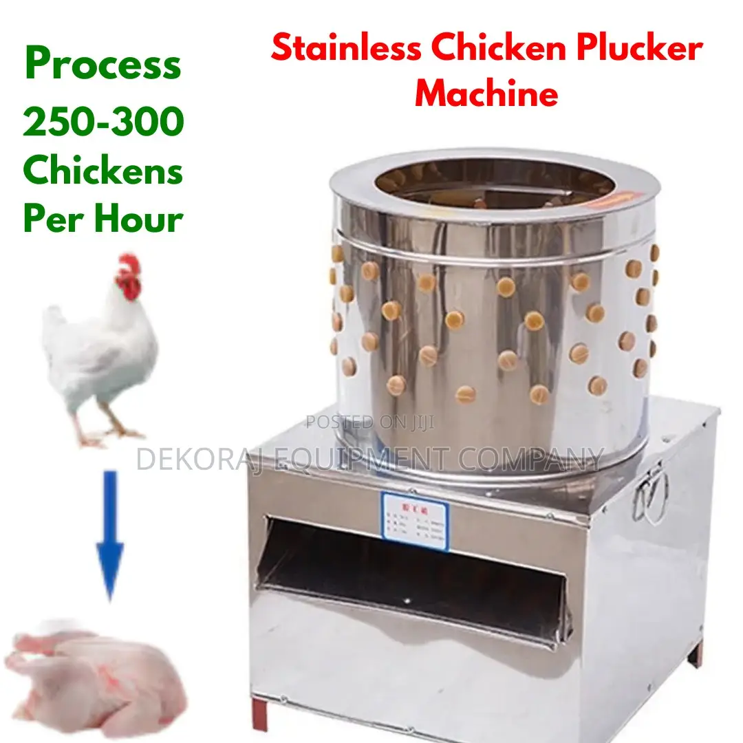 Cost-Effective 250-300/Hour Chicken Plucker Machine Solution