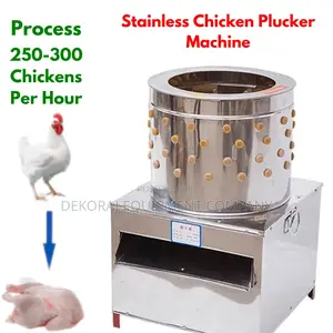 Cost-Effective 250-300/Hour Chicken Plucker Machine Solution