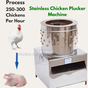 Compact 300/Hr Chicken Defeathering Machine for Easy Storage