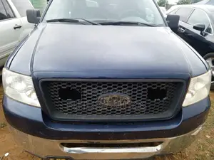 Ford F-150 2007 Blue