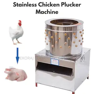 300/Hr Chicken Defeathering Machine for Effortles Processing