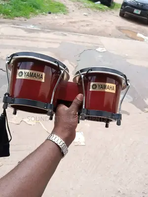 DJ Bongo Drum for Nightclubs.
