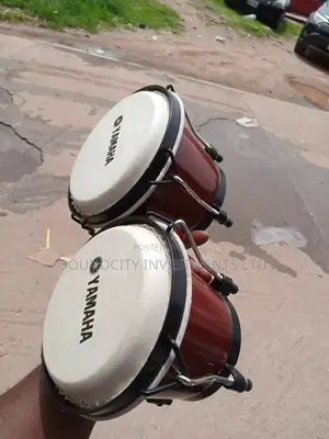 DJ Bongo Drum for Nightclubs.