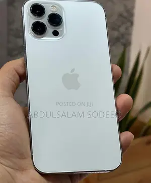 Apple iPhone 12 Pro Max 128 GB Silver