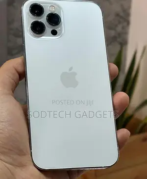 Apple iPhone 12 Pro Max 128 GB Silver