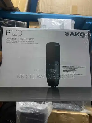Akg P120 Condenser Studio Microphones