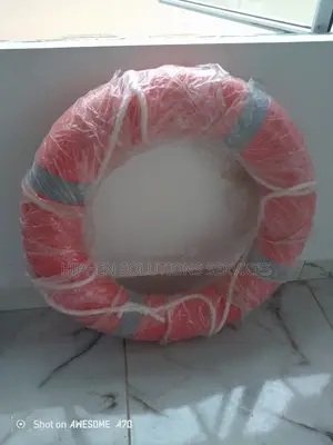 Plastic Swimming Pool Lifebuoy Ring