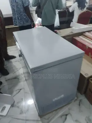 Newly Produced 250litre Best Standard Hisense Chest Freezer