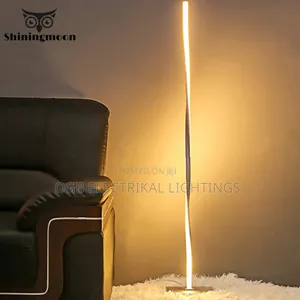 Modern Led Floor Lamp