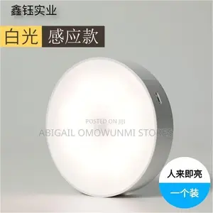 Led Human Body Induction Suction Light
