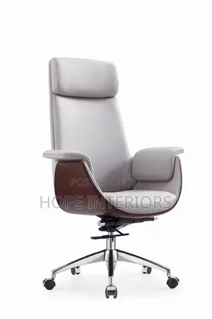 Executive Office Chair