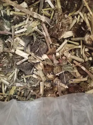 Echinacea Herb 1kg