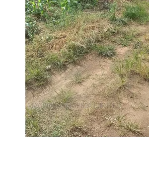 600sqm at Haven Court Estate Abijo GRA Ibeju Lekki
