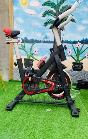 Commercial Spinning Bike