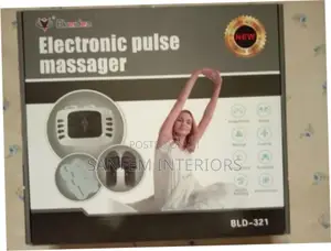 Electronic Pulse Massager