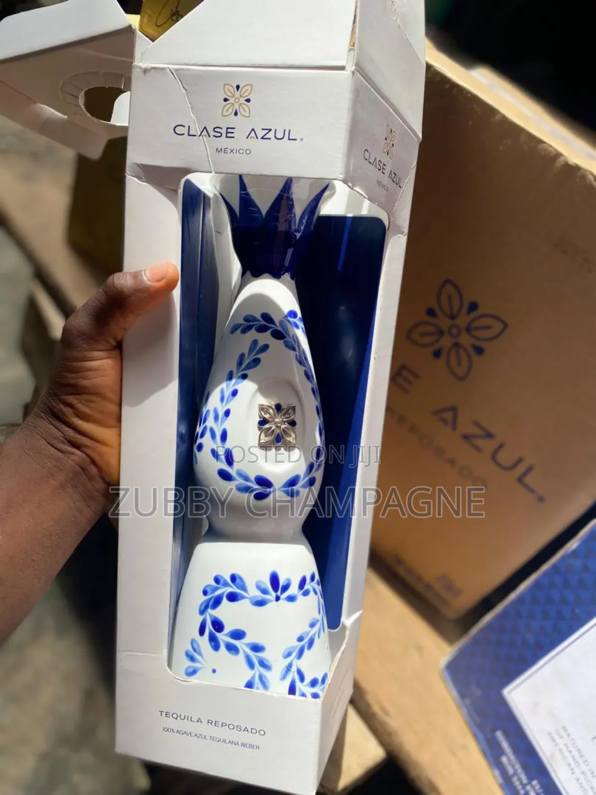 Agave Azul Clase