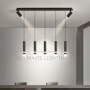 Modern LED Pendant Light With Spotlight