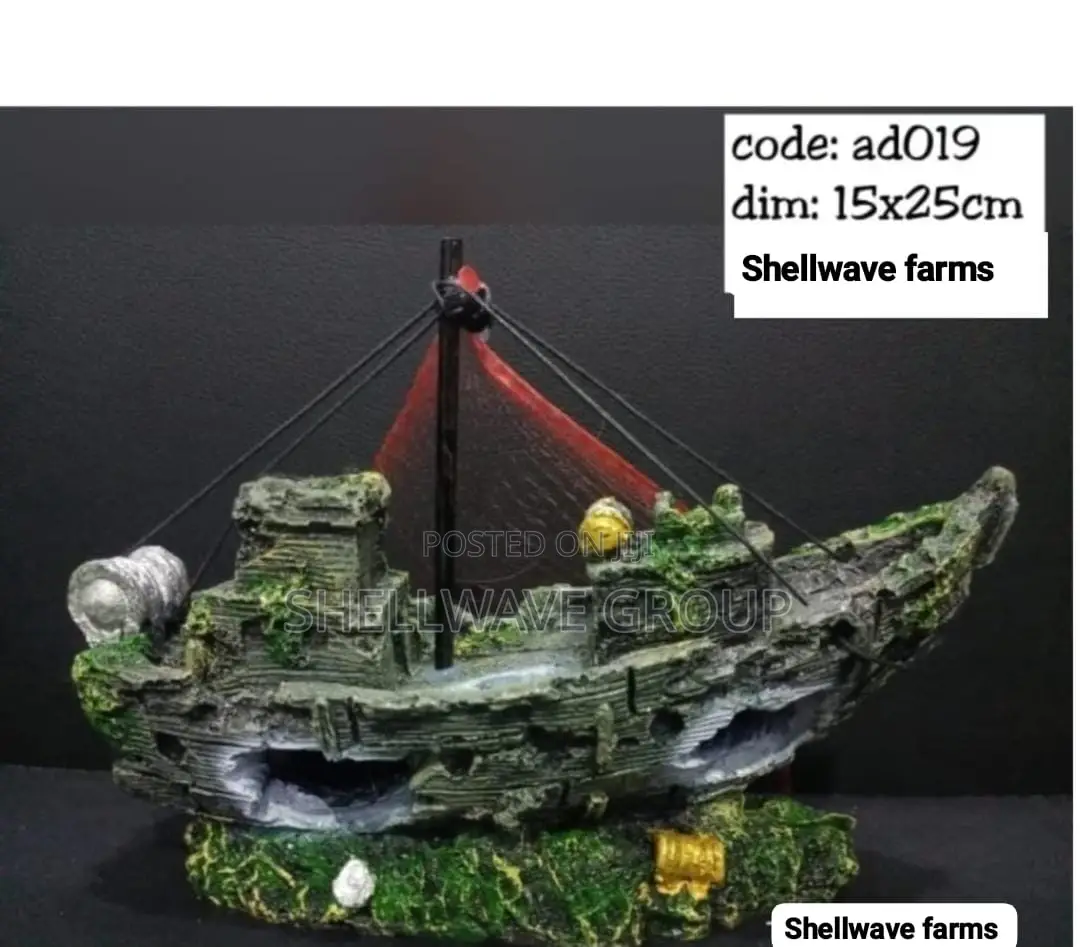Ship Wreck Decoration