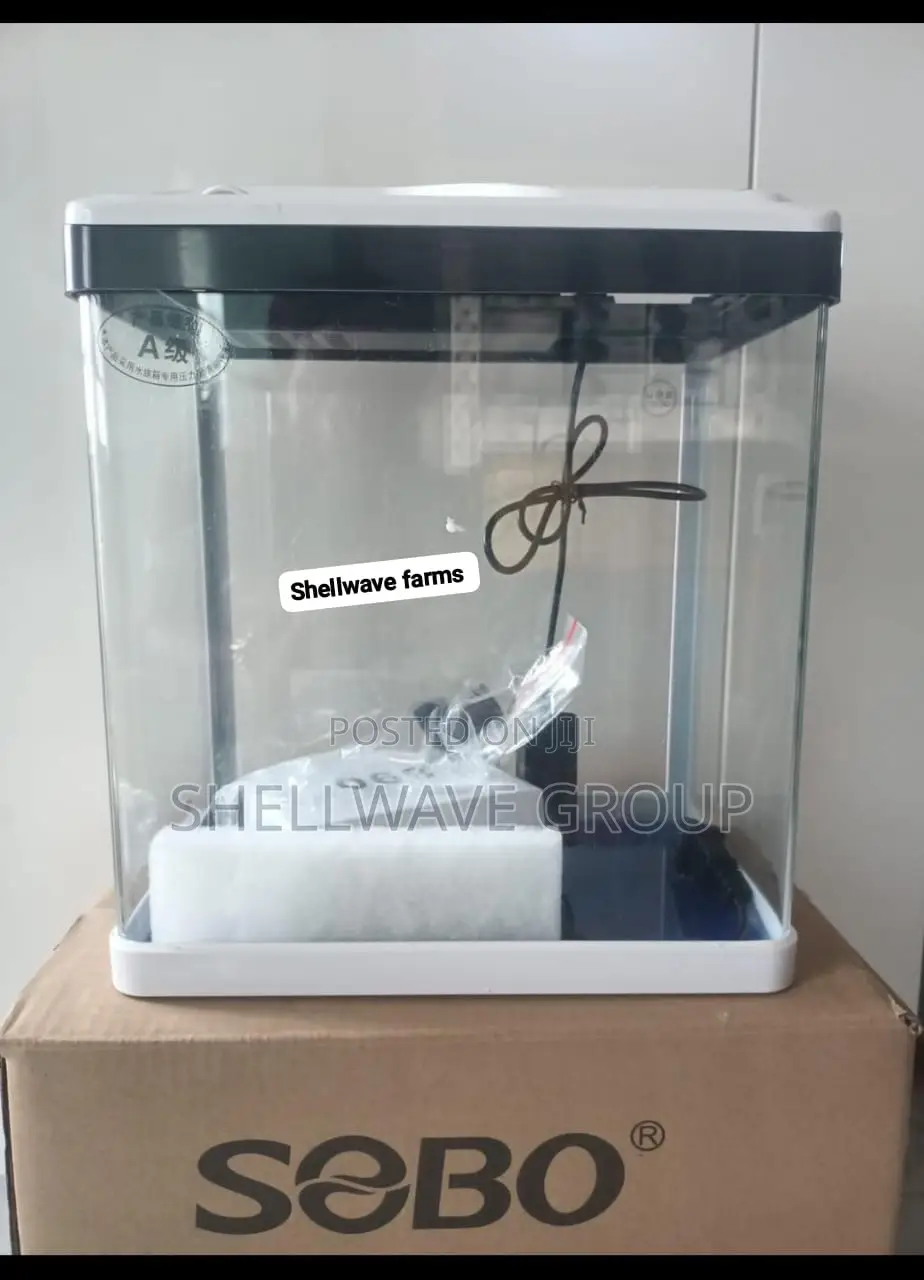 Aquarium With Inbuilt Filter and Light