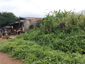 Half Plot of Land in a Very Decent Area Dry Land