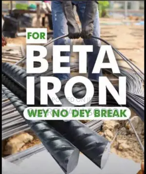 Standard Iron Rods Both Local and TMT