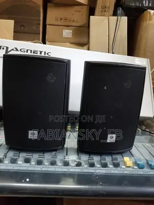 Original Wall Mount Speaker