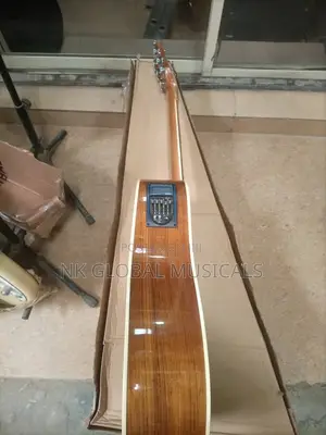 Semi Acoustic Guitar