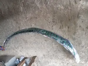 Plastic Bonnet Chrome for Corolla 09