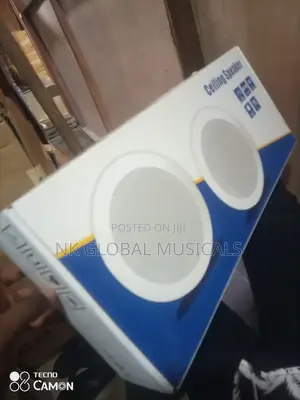 Professional Cellin Speakers One Active One Passive