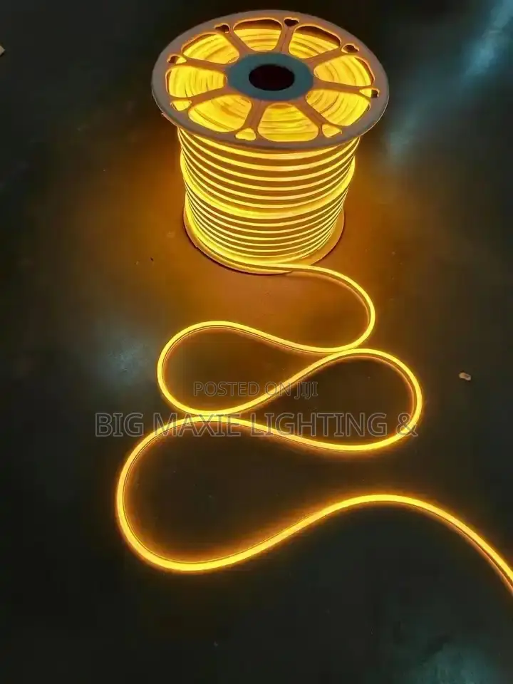 12V LED Strip Neon Tape Light