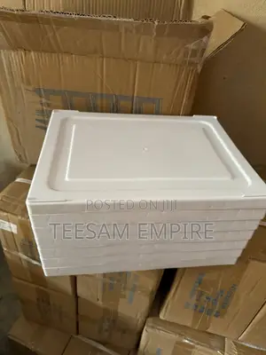 Folding Transparent Plastic Shoes Storage Box