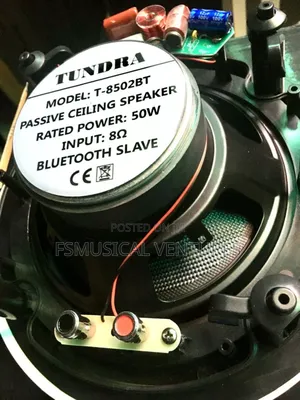 Tundra 50watts 2in1 Bluetooth Ceiling Speakers