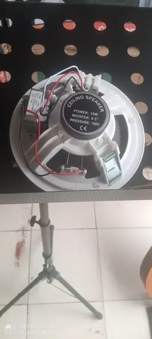 6watts Ceiling Speaker
