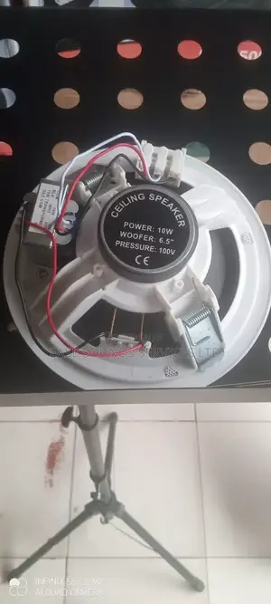 6watts Ceiling Speaker