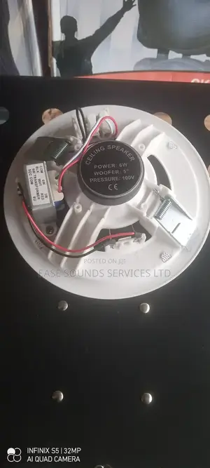 6watts Ceiling Speaker