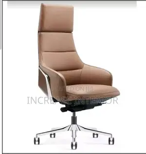 Luxury Imported Executive Office Director Chair