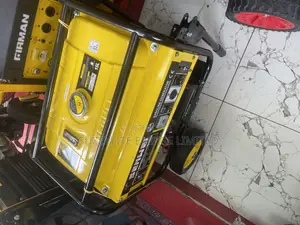 Senwei 3.5kva Automatic Generator